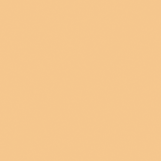 Wood Color Wall Paint 3D Model for Mandala Inspired Designs