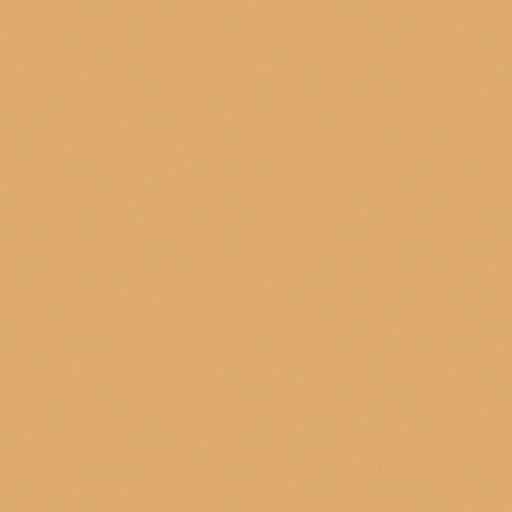 Carpolly Vast Desert Wall Paint 3D Model in Wood Color