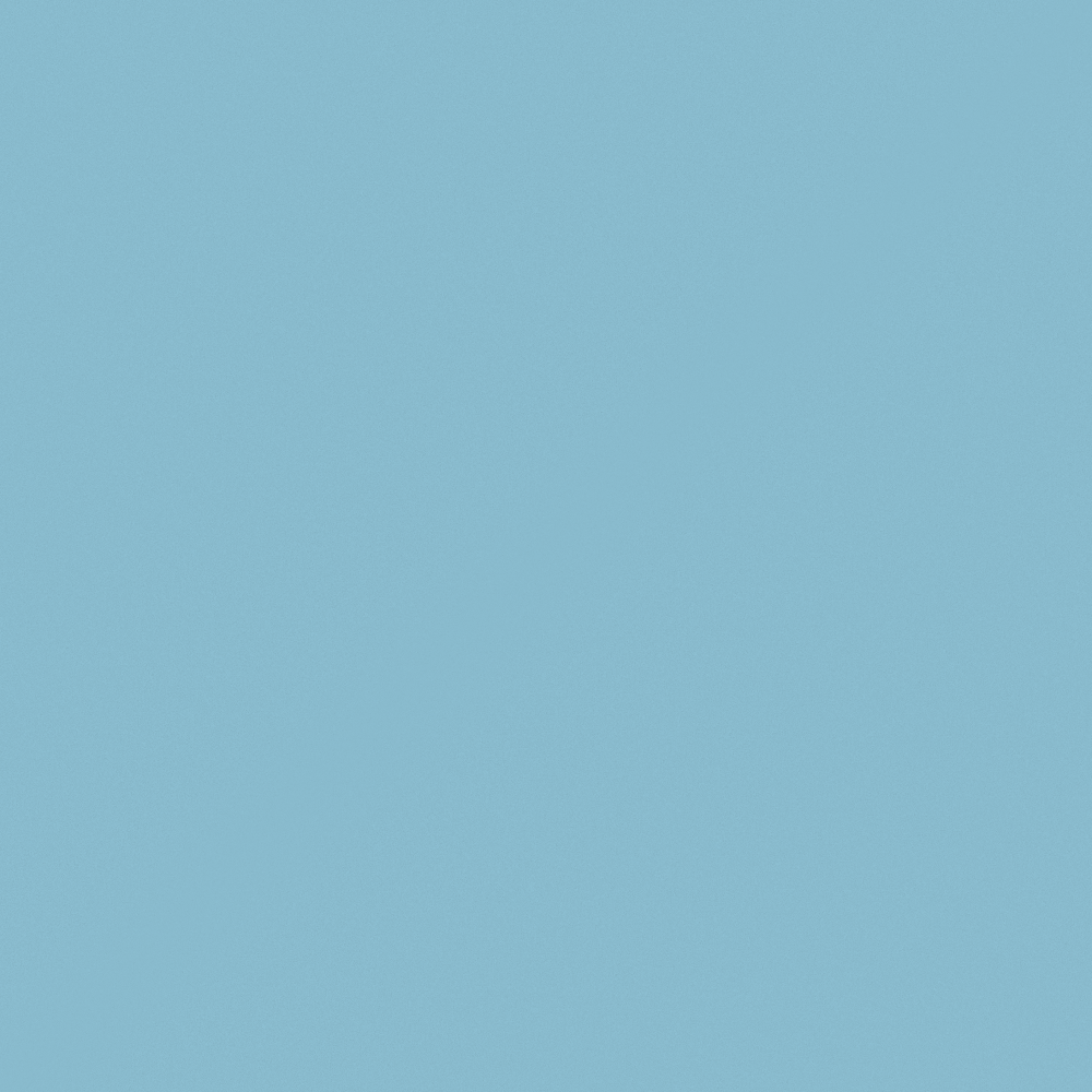 Carberry Blue Eyes M2431-T B 84 68 45