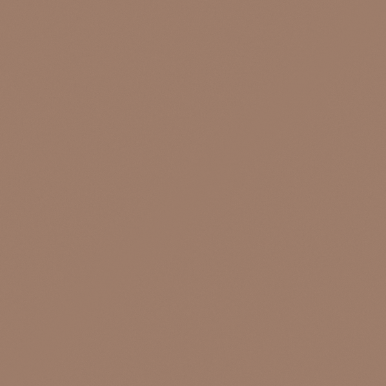 Carberry Alder Wall Paint 3D Model in Beige