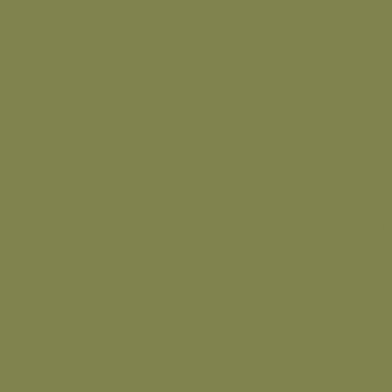 Carbori Mountain Fern Root M2301-A GY 31 52 42