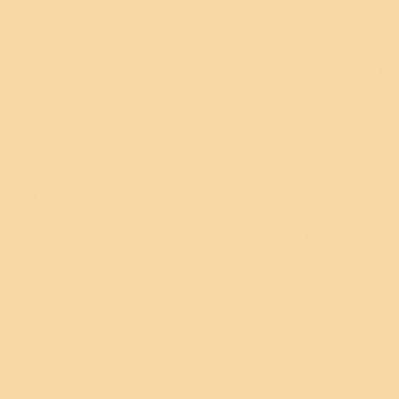 White Carberry Graham Cracker M2164-P Wall Paint 3D Model