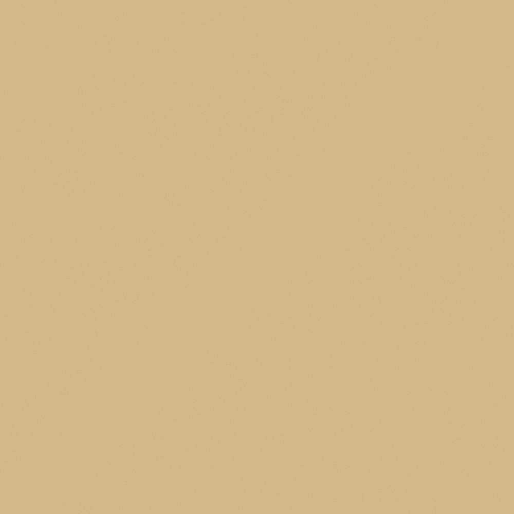Carpolly Sand Dunes Wall Paint 3D Model in Wood Color