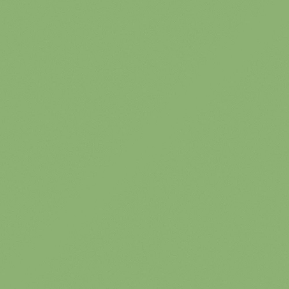 Carpolly March Green M2321-D GY 92 64 57