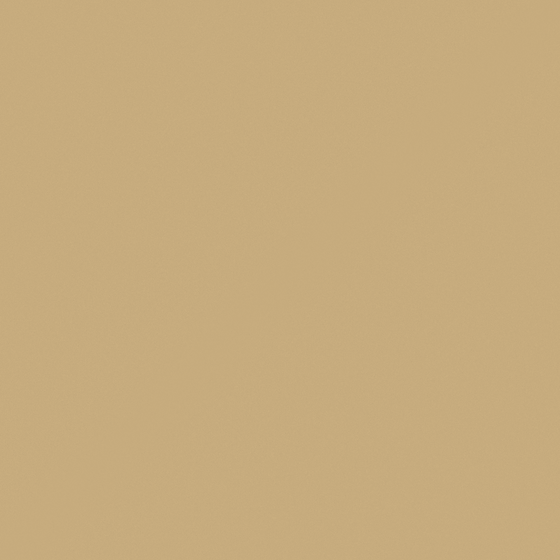 Garbori Shrine Wall Paint 3D Model in Wood Color