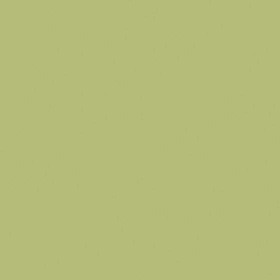 Carpolly Pine Green Wall Paint M2292-D