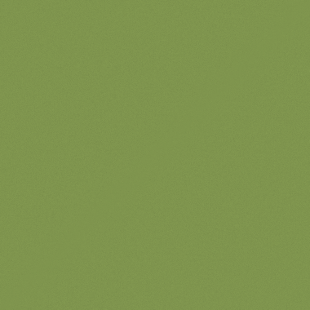 Carpolly Frog Green Wall Paint 3D Model