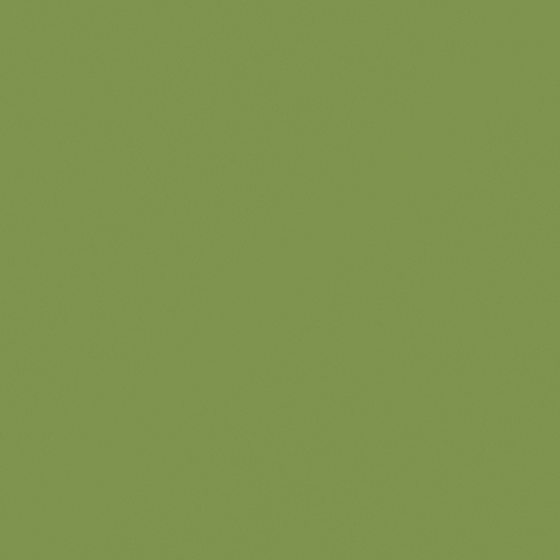 Carpolly Frog Green Wall Paint 3D Model