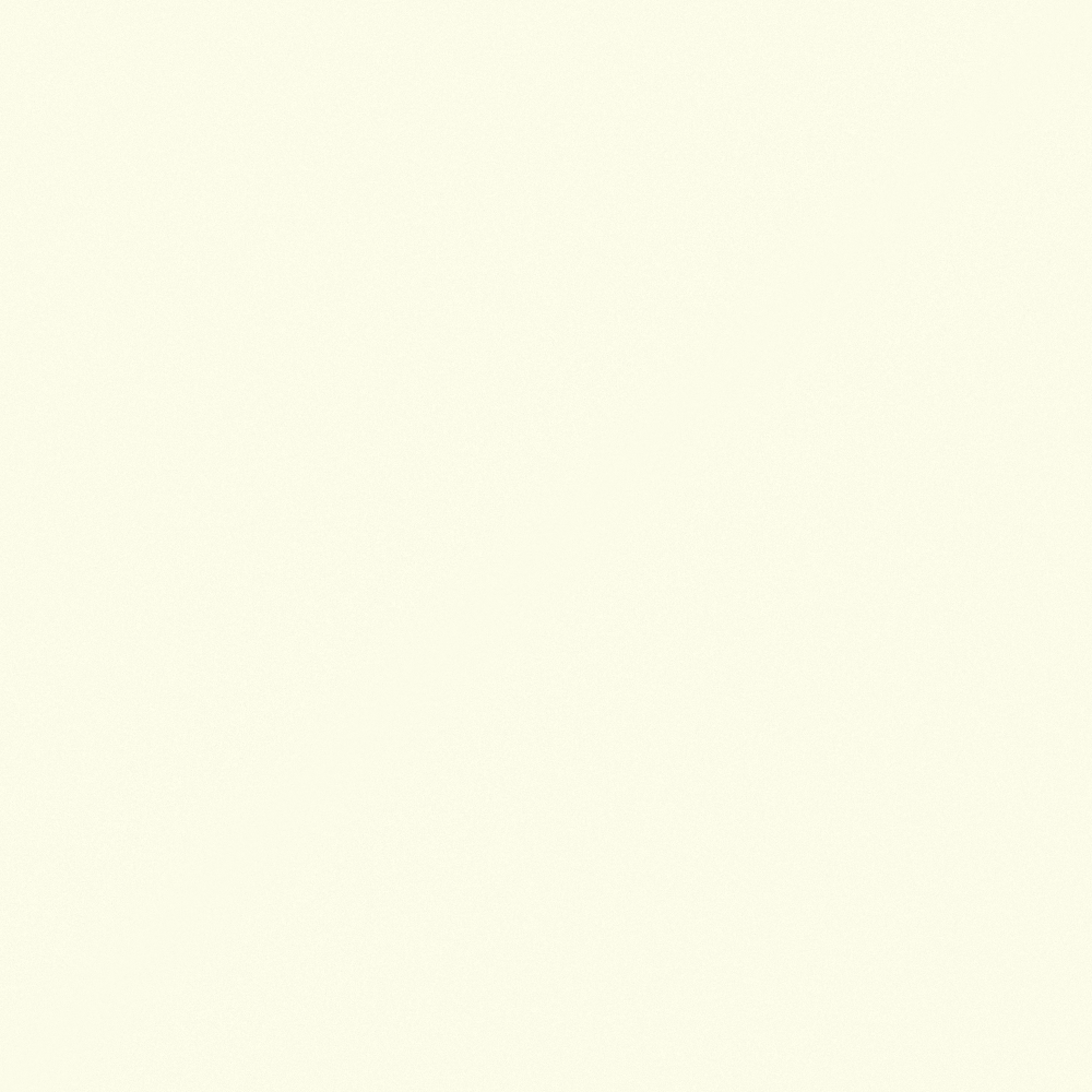 Carpolly Honey Blend Wall Paint 3D Model in White Finish