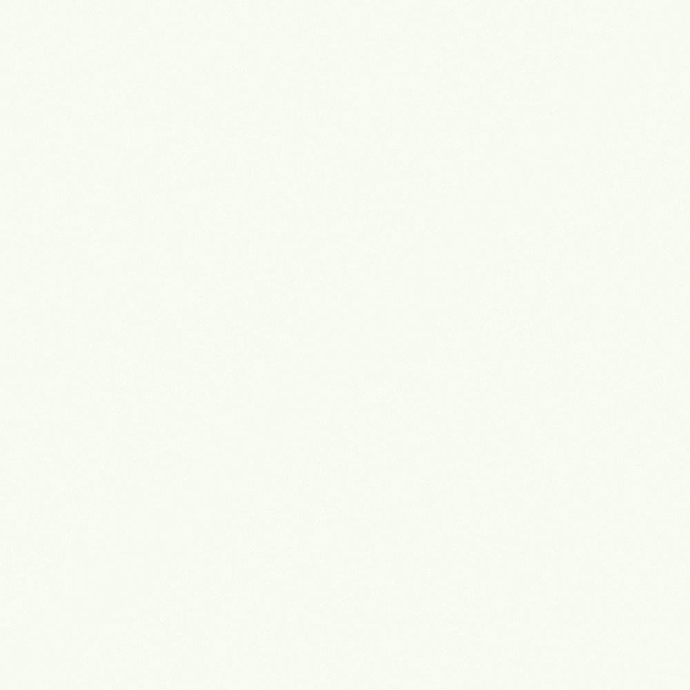 Carpolly Snow W0010-P Y 56 93 05