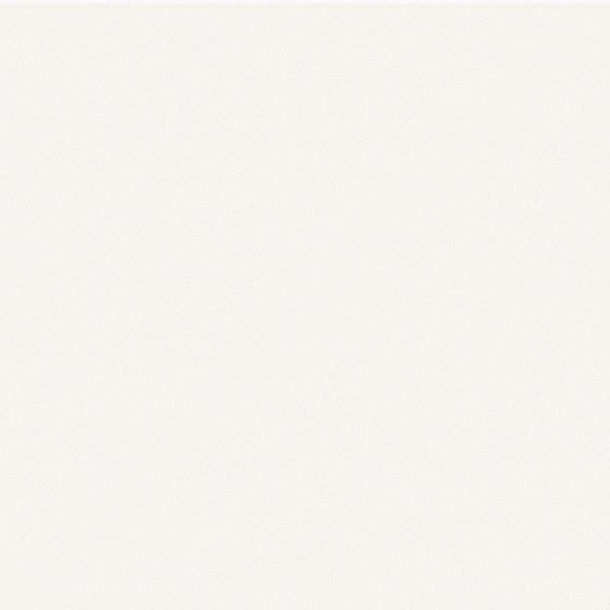 Carpolly White Swan W0056-P YR 92 91 05