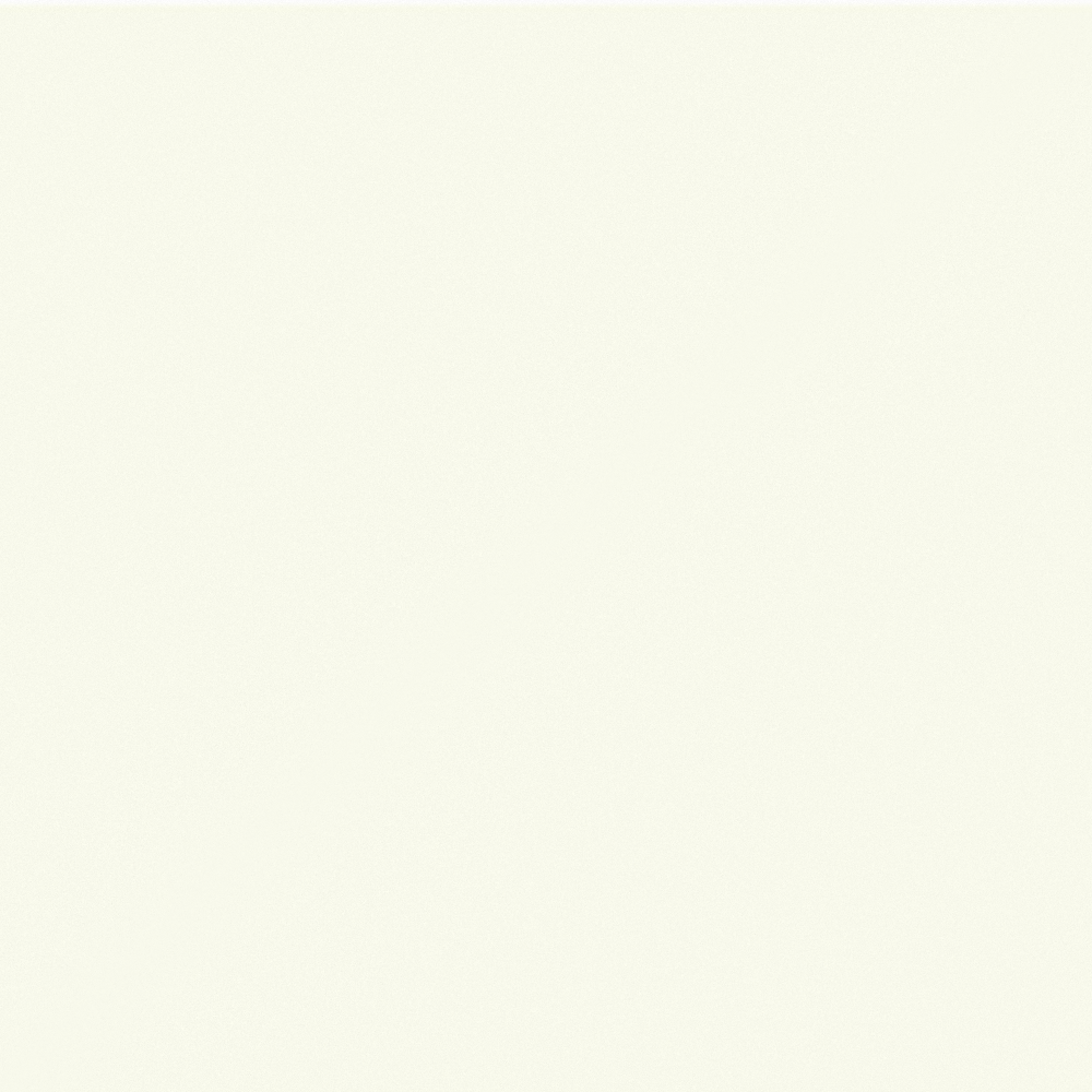 Carpolly Pearl Milk White W0086-P Y 55 93 09