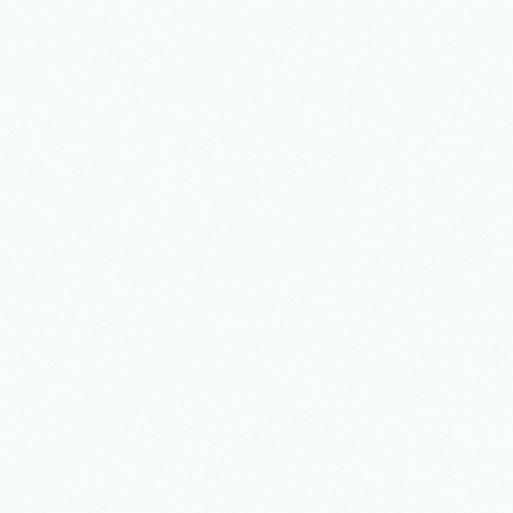 Carpolly Pearl White W0068-P Y 55 95 04