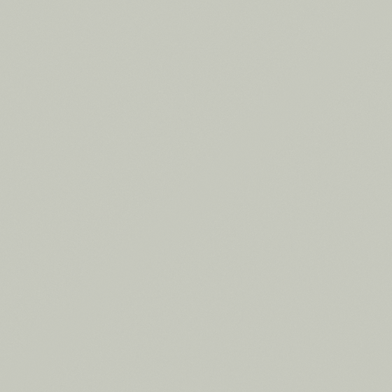 Carpolly Frost Forest Late Return G4038-P Y 63 76 06