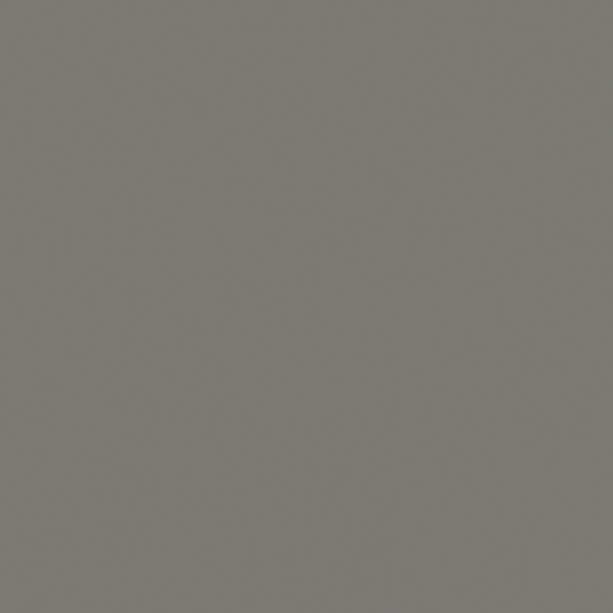 Carpolly Dark Grey G4047-D Paint