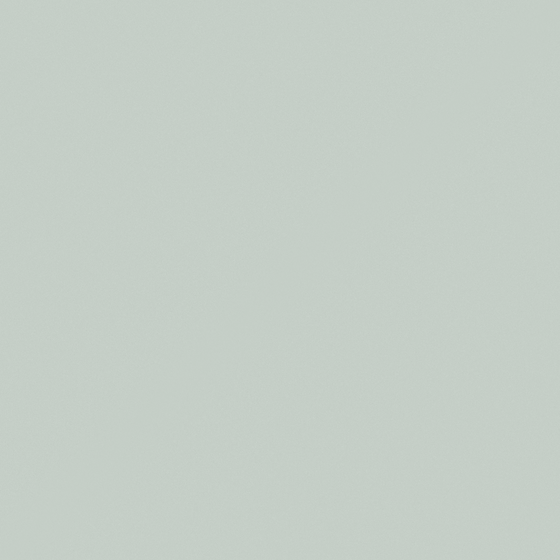 Carpolly Minimalist Light Grey Paint 3D Model