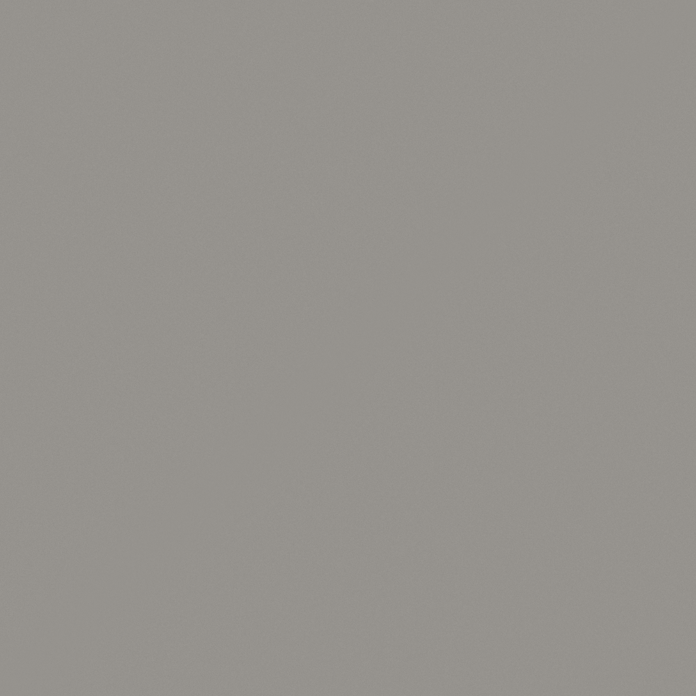 Carpolly Grey Earth Flying G4032-T Y 11 58 05