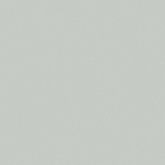 White Carpolly Grey Button Wall Paint 3D Model