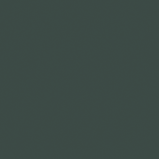 Carberry Black Goji Wall Paint 3D Model in Green Finish