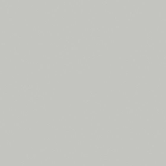 Carpoly Cloud Grey G4016-P Wall Paint in White