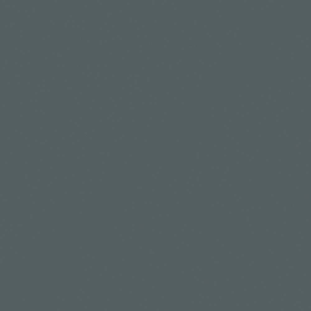 Carpolly Xia Cicada Wall Paint 3D Model in White