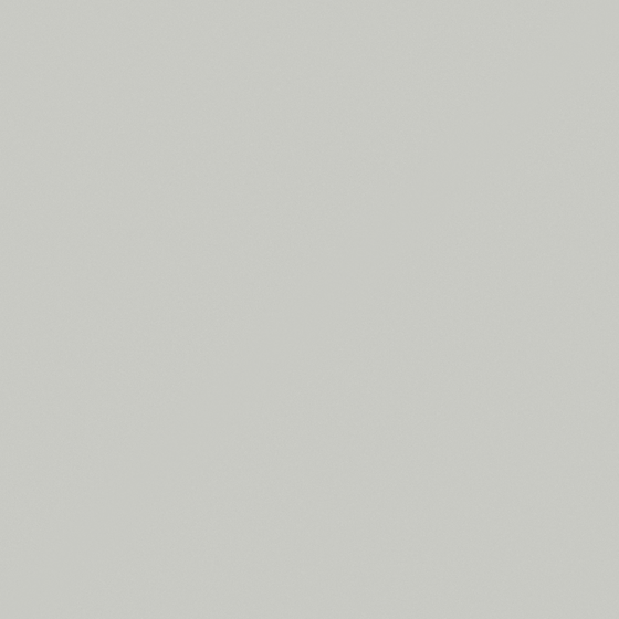 Carpolly Light Grey 3D Model in White
