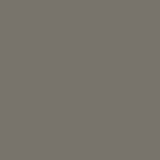 Carpolly Brown Stone Wall Paint 3D Model in White