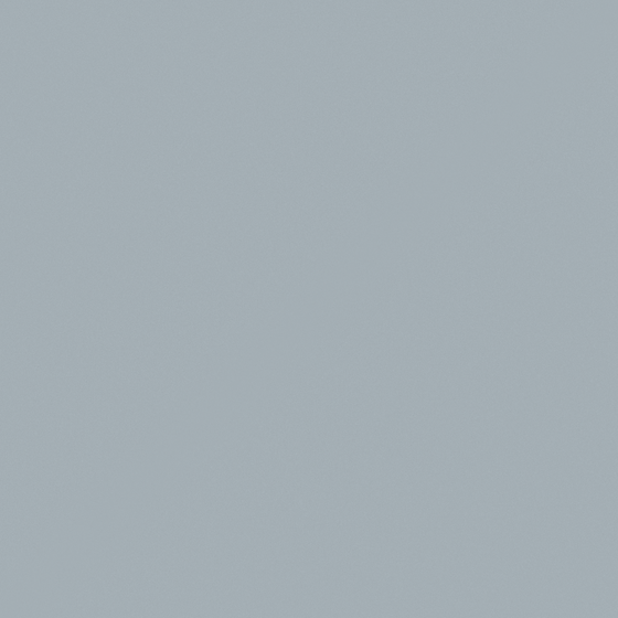 Carpolly Moonstone G4123-P PB 50 66 15