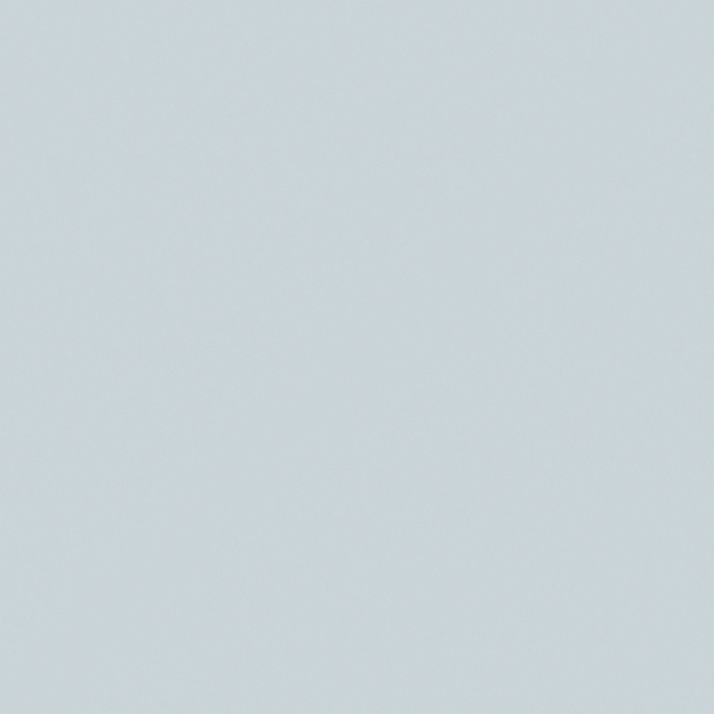 Cloudy Day Carpolly G4100-P PB 01 79 10