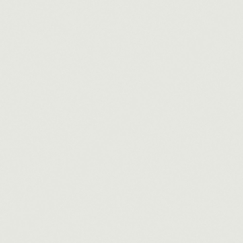 Carpol Moonlight Grey G4029-P Y 38 87 04