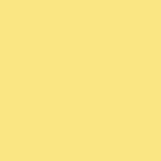 Carpolly Goofy Yellow C1165-T Wall Coating Paint