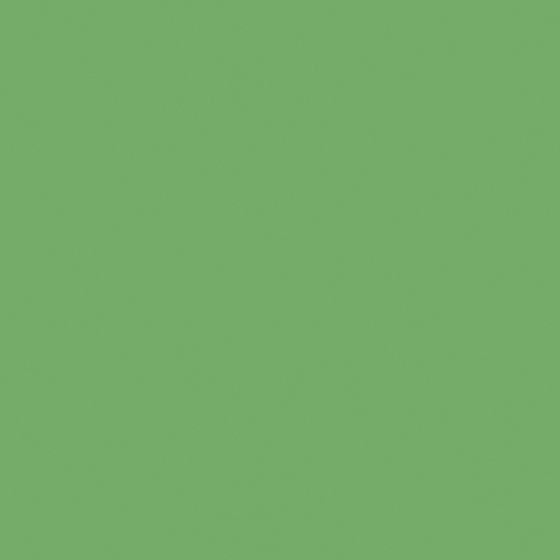 Stylish Green Garber Bex Wall Paint Model