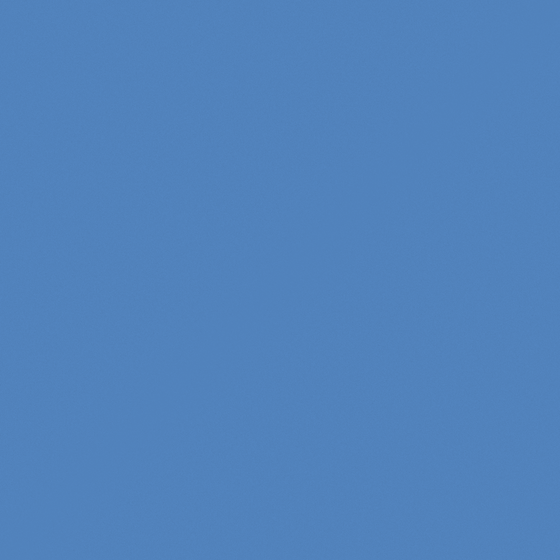 Carberry Belgian Blue Paint 3D Model