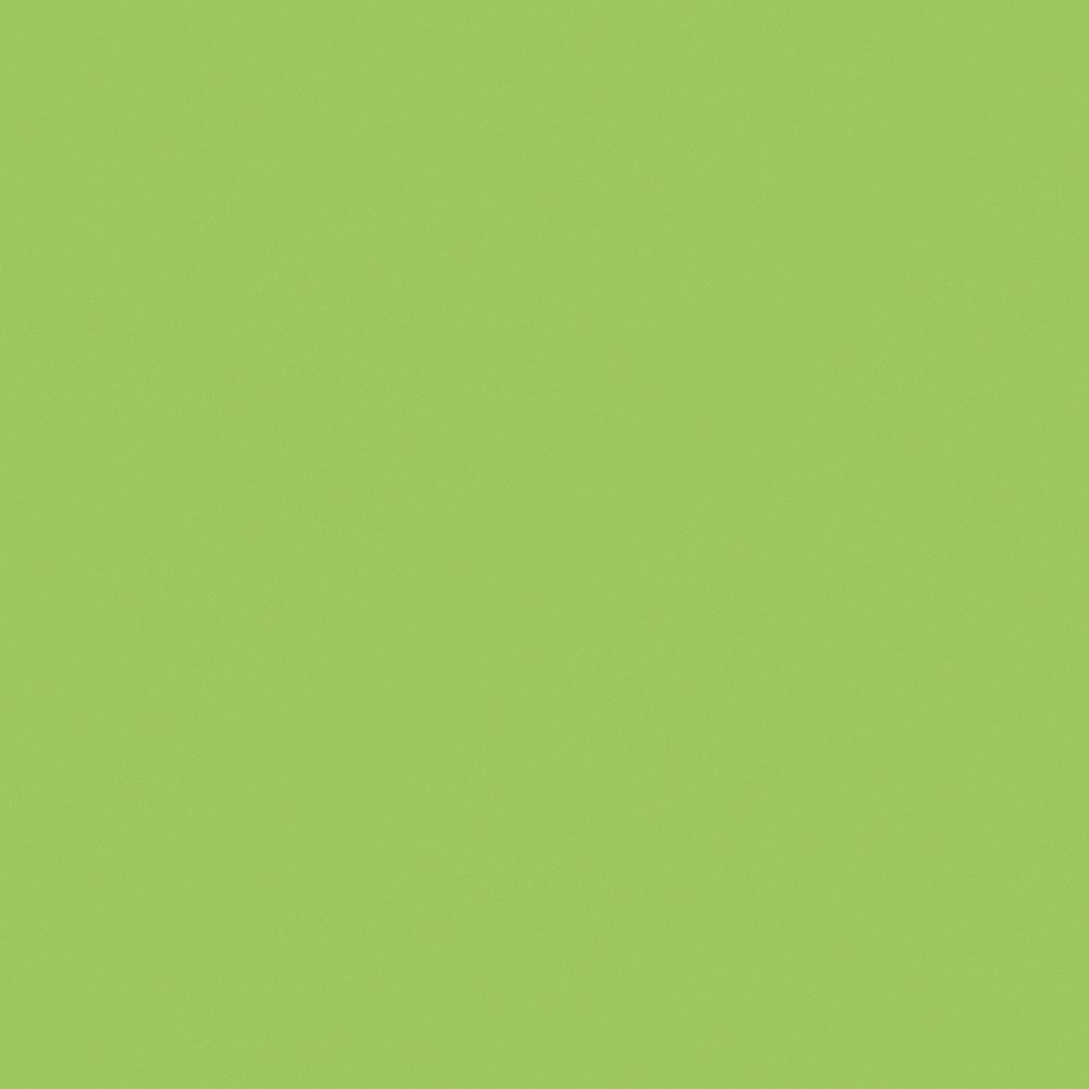 Carpoly Awakening of Insects Wall Paint 3D Model in Green