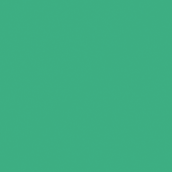 Carpolly Jin Yin C1279-A G 74 59 86