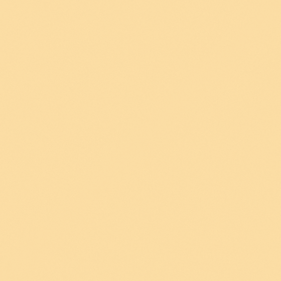 Carpoly Jiao Huang C1115-P Y 05 87 48
