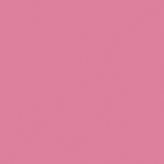 Carpolly Pink Fairy Tale Paint 3D Model