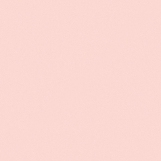 Carpolly Pink Peach Plums Wall Paint in Pink