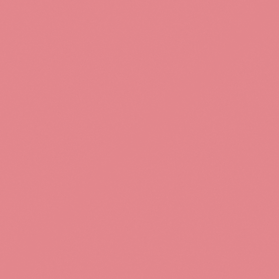 Pink Flying Carpolly Pieris C1033-D Wall Paint 3D Model