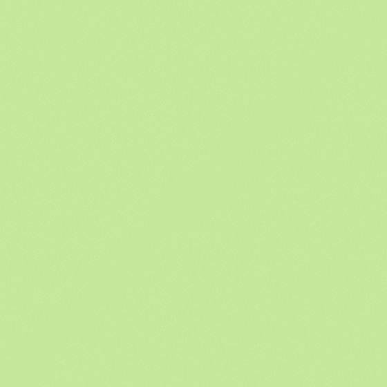 Carpolly Holland Green Paint 3D Model for Walls