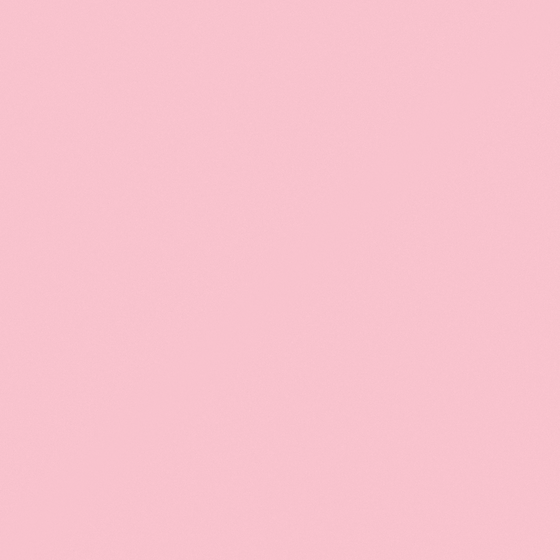 Carpolly Dutch Carnation Wall Paint 3D Model in Pink