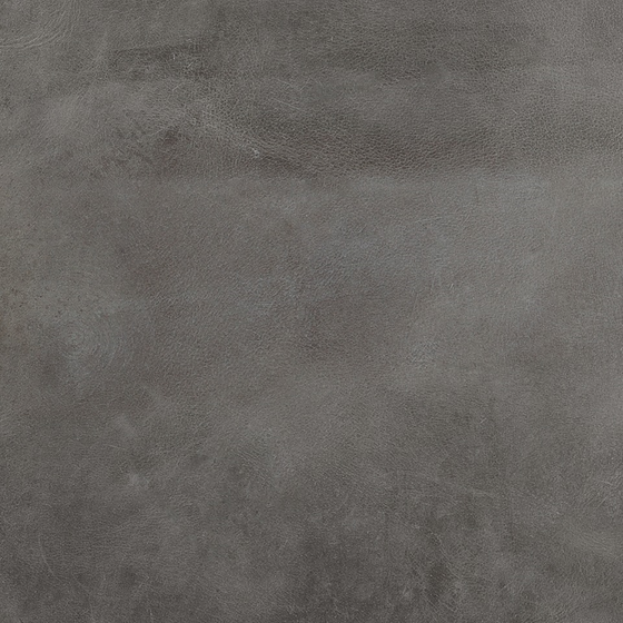 Gray Soft Material 3D Model – ALPHENBERG Tundra