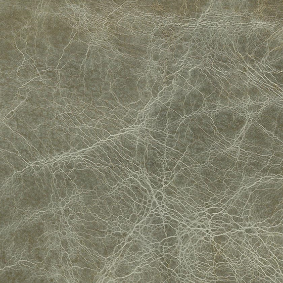 ALPHENBERG Pampas-Dolphin