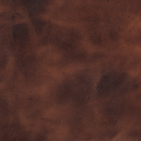 ALPHENBERG Pampas Tan 3D Model in Brown