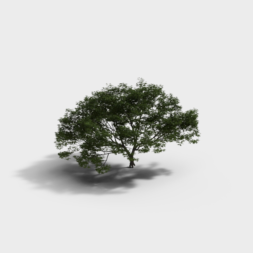 Tree 18