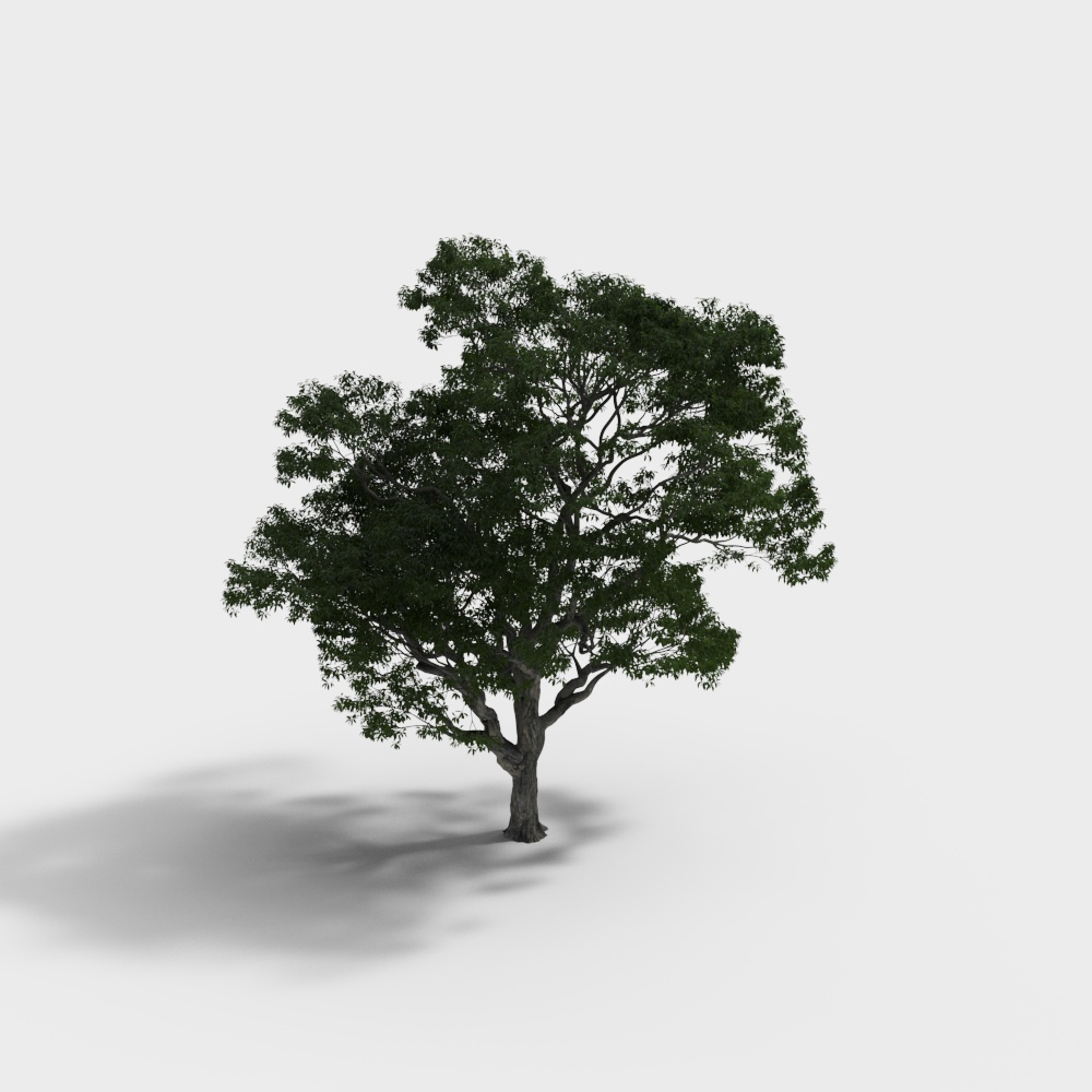 Realistic Low-Poly Oak Tree 3D Model