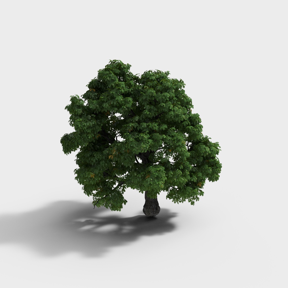 Tree 26