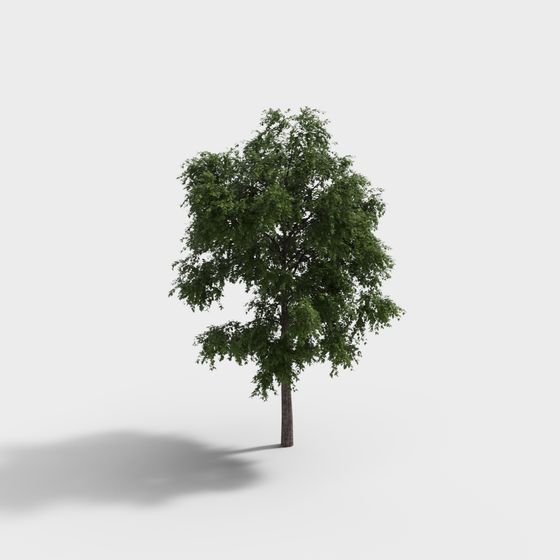 Realistic Oak Tree 3D model for Creative Projects