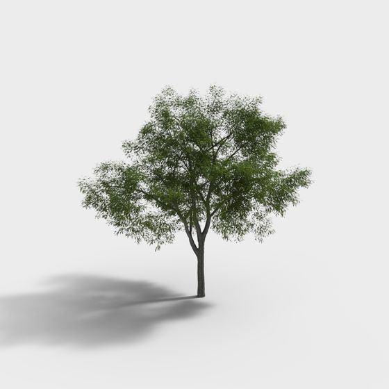Vibrant 3D Tree Model for Nature-inspired Designs