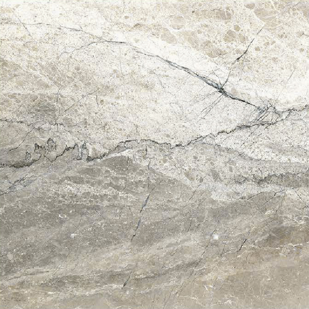 SANDIMAS-Cameron Beige 60x60 F4